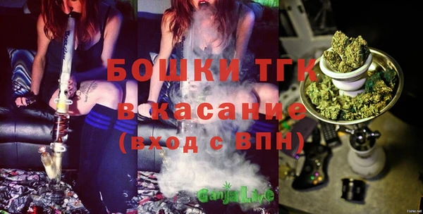 сатива Зеленодольск