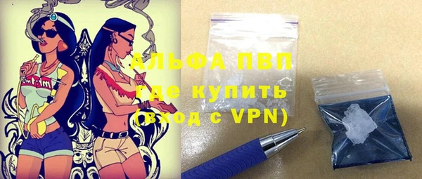 сатива Зеленодольск