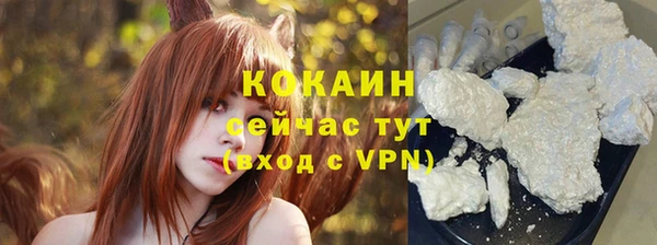 сатива Зеленодольск